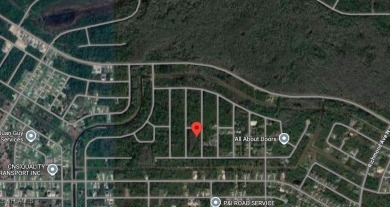 Discover the perfect canvas to create your dream home on this on Lehigh Resort Club in Florida - for sale on GolfHomes.com, golf home, golf lot