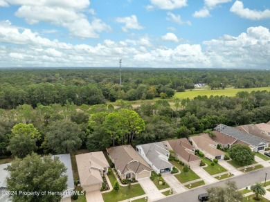 Easy, breezy Florida living? You betcha! This lovely Silverthorn on Silverthorn Country Club in Florida - for sale on GolfHomes.com, golf home, golf lot