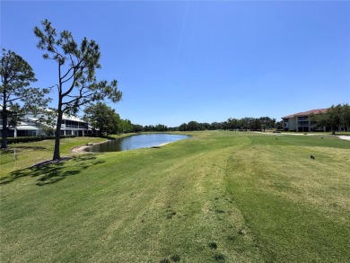 ** Welcome to your dream home** --a beautifully remodeled on Tara Golf and Country Club in Florida - for sale on GolfHomes.com, golf home, golf lot