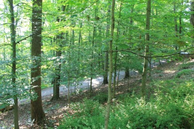 Here is your opportunity to purchase a nice, wooded lot in the on Hide-A-Way Hills Golf Club in Ohio - for sale on GolfHomes.com, golf home, golf lot