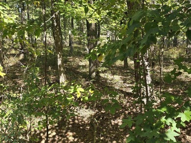 Looking for a nice level lot in a friendly golf course on Diamondhead Golf and Country Club in Arkansas - for sale on GolfHomes.com, golf home, golf lot