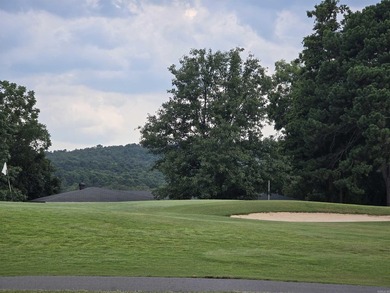 Looking for a nice level lot in a friendly golf course on Diamondhead Golf and Country Club in Arkansas - for sale on GolfHomes.com, golf home, golf lot