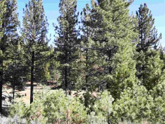 Situated in a gated subdivision, this lovely lot overlooks the on Grizzly Ranch Golf Club in California - for sale on GolfHomes.com, golf home, golf lot