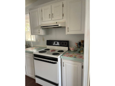 Welcome to your dream retreat! This cute Little Blue Cottage is on Blue Heron Pines Golf Course in Florida - for sale on GolfHomes.com, golf home, golf lot