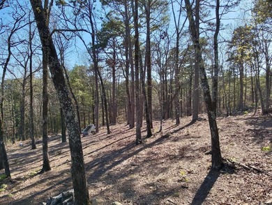 Stunning panoramic views of Greers Ferry Lake and the on Indian Hills Country Club in Arkansas - for sale on GolfHomes.com, golf home, golf lot