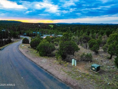 Gorgeous treed lot tucked away in the back of Torreon Homestead on Torreon Golf Club in Arizona - for sale on GolfHomes.com, golf home, golf lot
