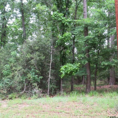 Perfect opportunity to build your dream home on this .40 acre on Holly Lake Ranch Golf Club in Texas - for sale on GolfHomes.com, golf home, golf lot