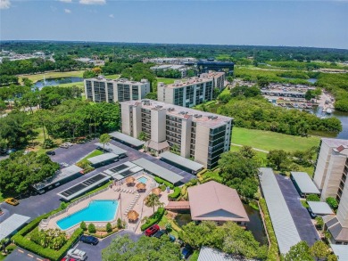 A View to Die For!  Discover the perfect blend of luxury and on Cove Cay Country Club in Florida - for sale on GolfHomes.com, golf home, golf lot