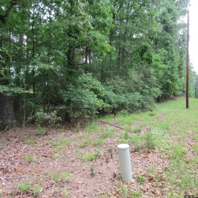 Perfect opportunity to build your dream home on this .40 acre on Holly Lake Ranch Golf Club in Texas - for sale on GolfHomes.com, golf home, golf lot