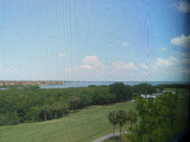 A View to Die For!  Discover the perfect blend of luxury and on Cove Cay Country Club in Florida - for sale on GolfHomes.com, golf home, golf lot