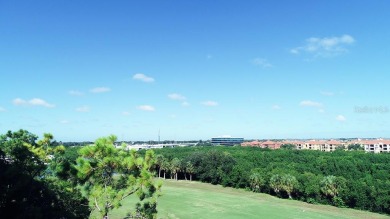 A View to Die For!  Discover the perfect blend of luxury and on Cove Cay Country Club in Florida - for sale on GolfHomes.com, golf home, golf lot