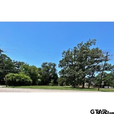 THIS 1.17 ACRE PROPERTY OFFERS MANY DIFFERENT OPPORTUNITIES FOR on Mineola Country Club in Texas - for sale on GolfHomes.com, golf home, golf lot