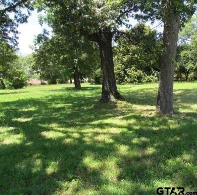 THIS 1.17 ACRE PROPERTY OFFERS MANY DIFFERENT OPPORTUNITIES FOR on Mineola Country Club in Texas - for sale on GolfHomes.com, golf home, golf lot