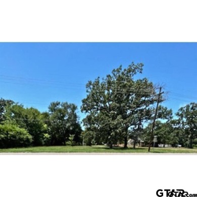 THIS 1.17 ACRE PROPERTY OFFERS MANY DIFFERENT OPPORTUNITIES FOR on Mineola Country Club in Texas - for sale on GolfHomes.com, golf home, golf lot