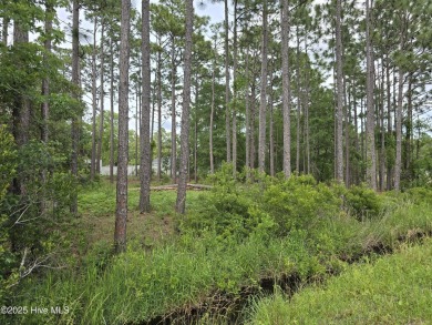 Prime Lot in Boiling Springs Lake in beautiful community with NO on The Lakes Country Club in North Carolina - for sale on GolfHomes.com, golf home, golf lot