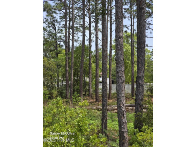 Prime Lot in Boiling Springs Lake in beautiful community with NO on The Lakes Country Club in North Carolina - for sale on GolfHomes.com, golf home, golf lot