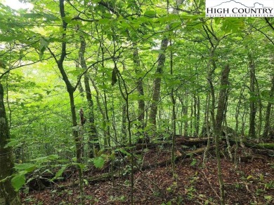 2 Prime building lots near the top of Sugar Mountain. These 2 on Sugar Mountain Golf Course in North Carolina - for sale on GolfHomes.com, golf home, golf lot