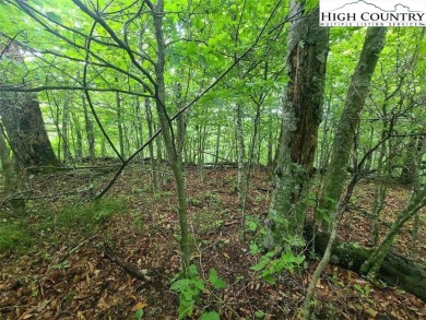 2 Prime building lots near the top of Sugar Mountain. These 2 on Sugar Mountain Golf Course in North Carolina - for sale on GolfHomes.com, golf home, golf lot