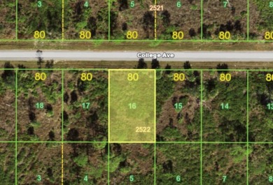 Great opportunity in a fast growing area. Build your dream home on Sabal Trace Golf and Country Club in Florida - for sale on GolfHomes.com, golf home, golf lot