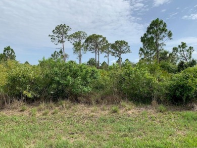 Great opportunity in a fast growing area. Build your dream home on Sabal Trace Golf and Country Club in Florida - for sale on GolfHomes.com, golf home, golf lot