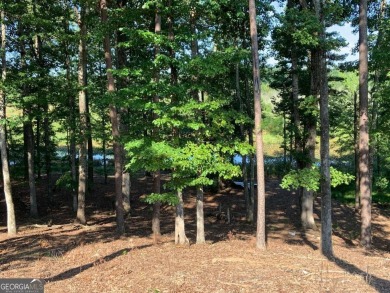 New Construction Home Opportunity- Lake Lot - The Georgian Golf on The Frog Golf Club in Georgia - for sale on GolfHomes.com, golf home, golf lot