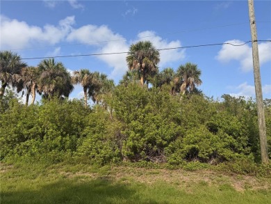 Nestled within the tranquil Rotonda Heights community, 141 on Rotonda Golf and Country Club The Palms Course in Florida - for sale on GolfHomes.com, golf home, golf lot