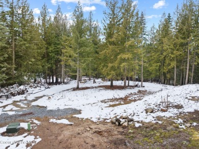 Welcome to ''The Fairway Rancher,'' a luxurious embodiment of on The Idaho Club in Idaho - for sale on GolfHomes.com, golf home, golf lot