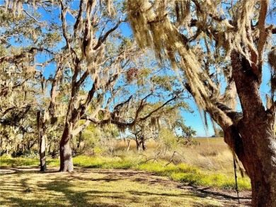 Elegant Marshfront Estate in Hampton Point - St. Simons Island

 on The King and Prince Golf Course, Home of the Hampton Club in Georgia - for sale on GolfHomes.com, golf home, golf lot