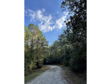 This wooded lot is .36 of an acre in Section E-5. Just down the on Rayburn Country Club in Texas - for sale on GolfHomes.com, golf home, golf lot