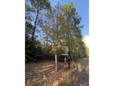 This wooded lot is .36 of an acre in Section E-5. Just down the on Rayburn Country Club in Texas - for sale on GolfHomes.com, golf home, golf lot