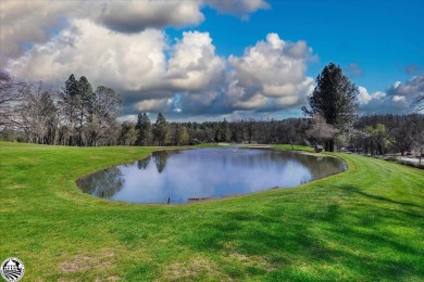 LAKE FRONT ~ PRIVATE DOCK~ GREAT LOCATION ~ WATERSKI SLALOM on Pine Mountain Lake Country Club in California - for sale on GolfHomes.com, golf home, golf lot