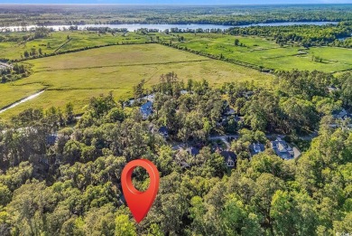 Nestled under a canopy of centuries old Angel Live Oak trees on Willbrook Plantation Golf Club in South Carolina - for sale on GolfHomes.com, golf home, golf lot