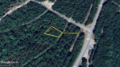 Discover the serene beauty of East Texas with a stunning on Rayburn Country Club in Texas - for sale on GolfHomes.com, golf home, golf lot