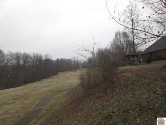 Lots features great views of Fairway #9  & 10 on Arrowhead Golf on Boots Randolph Golf Course in Kentucky - for sale on GolfHomes.com, golf home, golf lot
