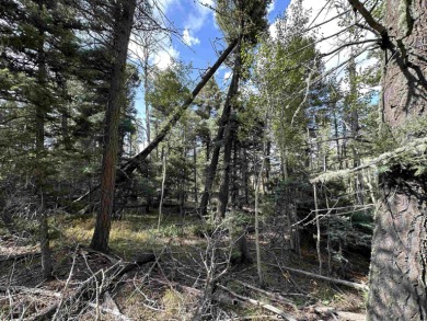 This corner lot has all the nearby conveniences including the on Angel Fire Resort Country Club in New Mexico - for sale on GolfHomes.com, golf home, golf lot