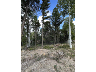 This corner lot has all the nearby conveniences including the on Angel Fire Resort Country Club in New Mexico - for sale on GolfHomes.com, golf home, golf lot