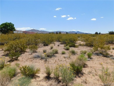 This property is currently zoned C2. There is a home next door on Valle Vista Golf Course in Arizona - for sale on GolfHomes.com, golf home, golf lot