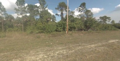 Discover the opportunity to own a residential homesite located on Mirror Lakes Golf Club in Florida - for sale on GolfHomes.com, golf home, golf lot