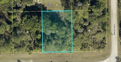 Discover the opportunity to own a residential homesite located on Mirror Lakes Golf Club in Florida - for sale on GolfHomes.com, golf home, golf lot