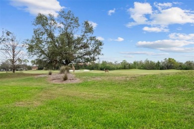 Grand Estate with Breathtaking Water, Preserve  Golf Course on Legacy Golf Club in Florida - for sale on GolfHomes.com, golf home, golf lot