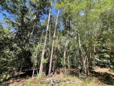 Beautiful lot in Rayburn Country located in a cul-de-sac right on Rayburn Country Club in Texas - for sale on GolfHomes.com, golf home, golf lot