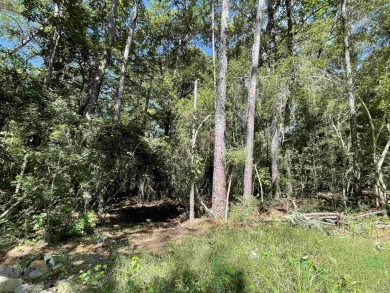 Beautiful lot in Rayburn Country located in a cul-de-sac right on Rayburn Country Club in Texas - for sale on GolfHomes.com, golf home, golf lot
