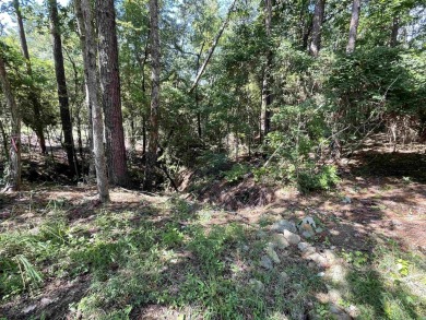 Beautiful lot in Rayburn Country located in a cul-de-sac right on Rayburn Country Club in Texas - for sale on GolfHomes.com, golf home, golf lot