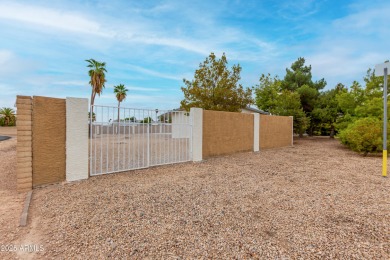 Corner lot with FULLY OWNED SOLAR on large 11,715 Sq Ft lot with on Sun City Lakes West and East in Arizona - for sale on GolfHomes.com, golf home, golf lot