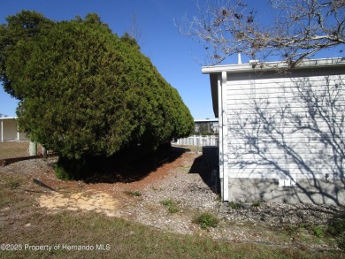 **Seller motivated***High & Dry.....Well maintained Jacobsen on Brookridge Country Club in Florida - for sale on GolfHomes.com, golf home, golf lot