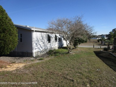 **Seller motivated***High & Dry.....Well maintained Jacobsen on Brookridge Country Club in Florida - for sale on GolfHomes.com, golf home, golf lot