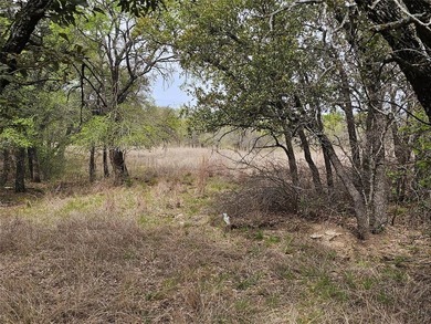 Build your dream home on this beautiful half-acre waterfront lot on Hideout Golf Club and Resort  in Texas - for sale on GolfHomes.com, golf home, golf lot