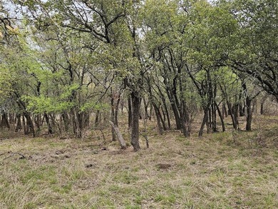 Build your dream home on this beautiful half-acre waterfront lot on Hideout Golf Club and Resort  in Texas - for sale on GolfHomes.com, golf home, golf lot