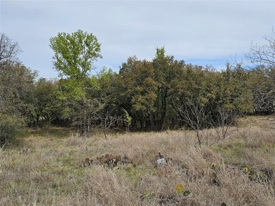 Build your dream home on this beautiful half-acre waterfront lot on Hideout Golf Club and Resort  in Texas - for sale on GolfHomes.com, golf home, golf lot