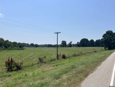 BEAUTIFUL TRACT OF LAND WITH PLENTY OF ROAD FRONTAGE ON HWY 135 on Hilltop Country Club in Texas - for sale on GolfHomes.com, golf home, golf lot